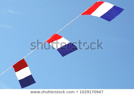 Stok fotoğraf: European Woman Celebrating Liberation With Dutch Flag