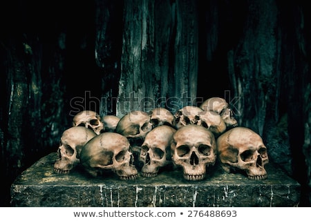 Stock photo: Skull For Black Magic Head Of Skeleton And Black Candle