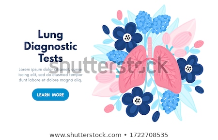 Stok fotoğraf: Vector Healthy Lungs On Flowers Background For Label Advertisement Of Pulmonary Medicine Landing