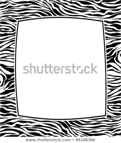 Vector Colorful Frame With Abstract Zebra Skin Texture Foto d'archivio © freesoulproduction