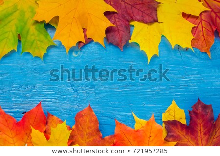 Foto stock: Dry Maple Leaf On Old Wooden Background With Copy Space