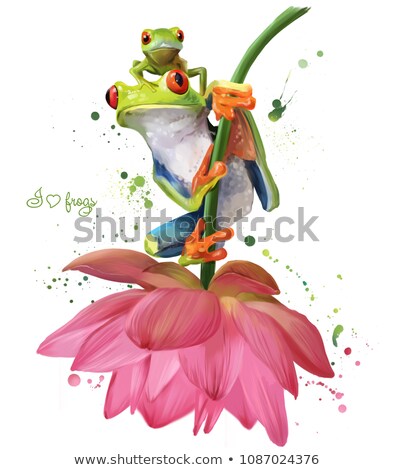 Stok fotoğraf: Tree Frog Sitting On A Flower