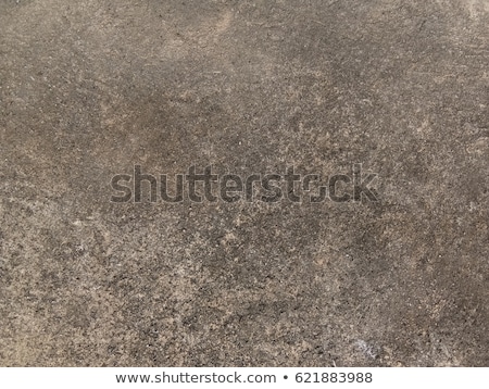 Stock photo: Seamless Texture Of Rocky Soil