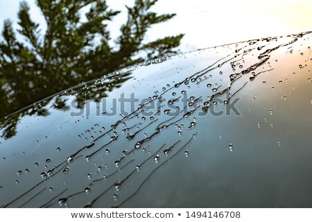 Stock foto: Droplets On Car Windshield