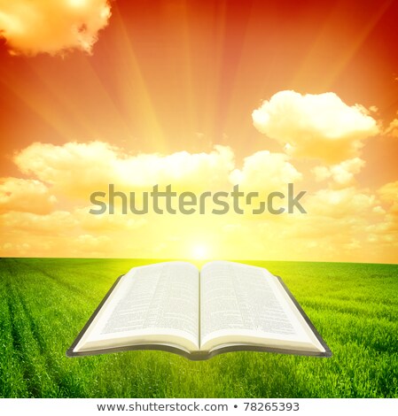 Сток-фото: Illustration Of The Bible With Sun Rays