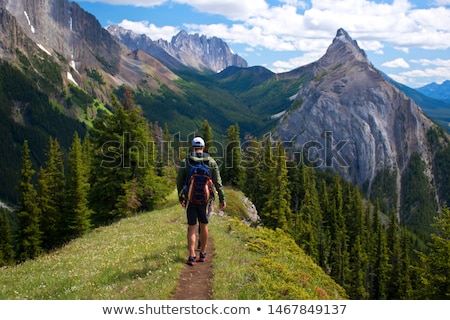 Stock foto: Men And Women Hiking