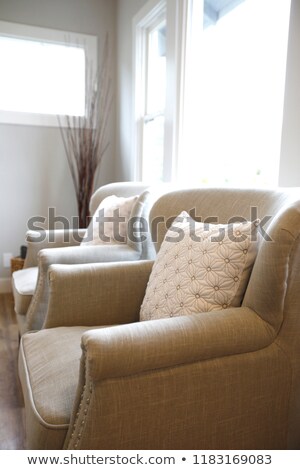 Foto stock: Close Up Of An Ivory Armchair Topped With A Pillow