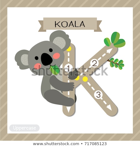 Stock fotó: A Letter K For Koala