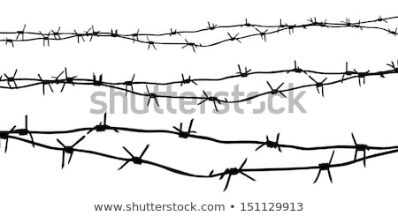 [[stock_photo]]: Barbed Wire A Fence In Prison And The Silhouette Of A Prison Guard On The Background