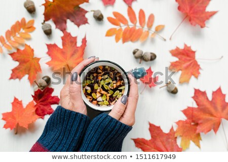 ストックフォト: Female Hands Holding Tea Over Table With Red Maple And Rowan Leaves And Acorns