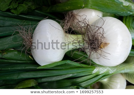 Stock fotó: Fresh White Onions