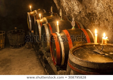 Foto stock: Wine Cellar In Velka Trna Tokaj Wine Region Slovakia