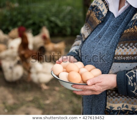 Stock photo: Farmers And Hens In The Farm