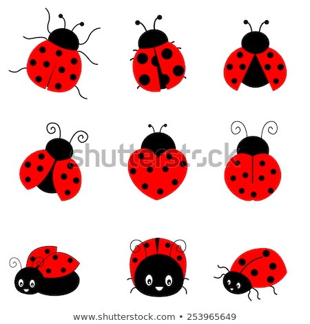 Foto stock: Lady Bug