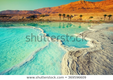 Stok fotoğraf: Dead Sea The Landscape