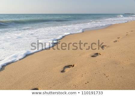 Stok fotoğraf: Sea Foam And Footprints In The Sand At The Beach