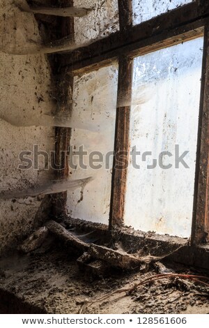 Old Window In Dark And Cobweb Zdjęcia stock © Bertl123