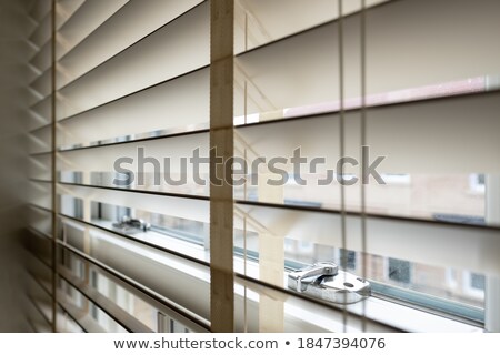Stock foto: Through Open Window View To Closed Area Of Urbanization With Pla