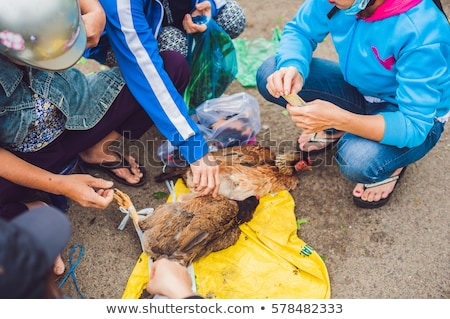 Stok fotoğraf: Chicken Sold In The Vietnamese Market Asian Food Concept