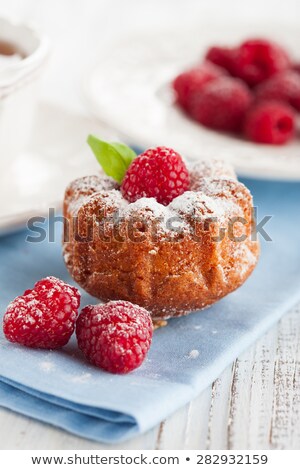 Stok fotoğraf: Homemade Fresh Muffins With Sugar Powder And Blueberries On Cera