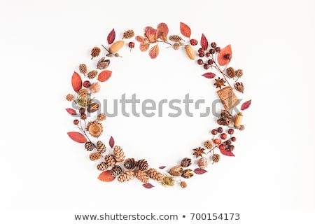 Foto d'archivio: Autumn Leaf Wreath