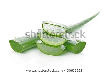 Stock fotó: Close Up Image Of Green Aloe Vera Leafs On Bright Background