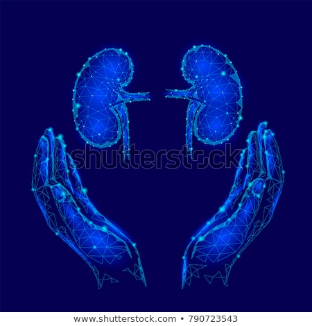 Foto stock: Kidney Day Greeting Card