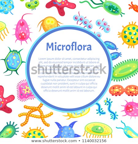 Foto stock: Bacteria Poster With Organism Vector Illustration