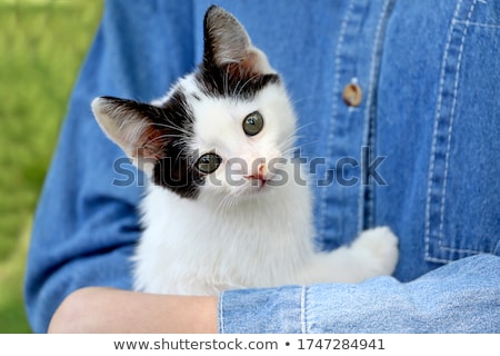 Stock fotó: Woman Holding Her Lovely Black And White Cat