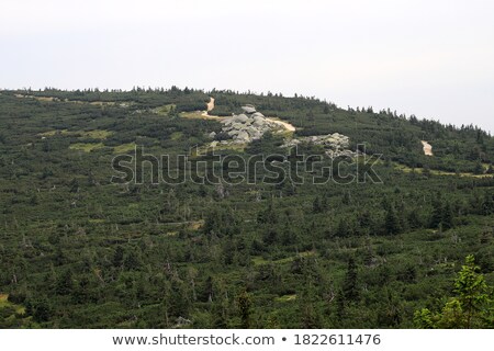 ストックフォト: Giant Mountains Near Poland And Czech