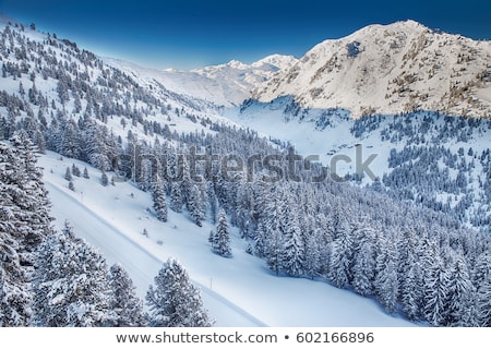 Foto stock: Cars Covered In Fresh Snow