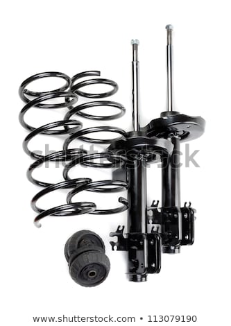 Zdjęcia stock: Set Shock Absorber With Spring And Thrust Bearing