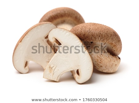 Сток-фото: Shiitake Mushrooms