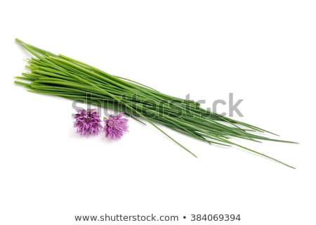 Stok fotoğraf: Bunch Of Fresh Chives