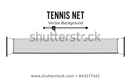 Tenis Filesi Stok fotoğraf © pikepicture