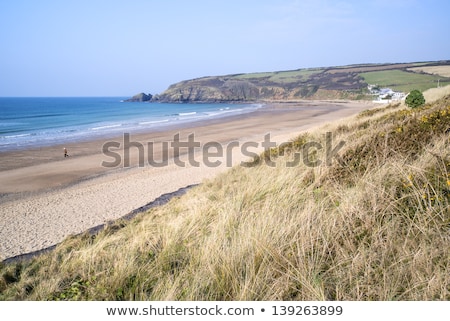 Stock photo: Expanse Of Golden Beach At Praa Sands Cornwall England