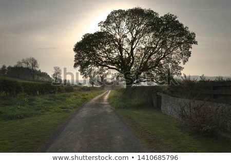 Foto stock: Panoramic View Of The English Countryside