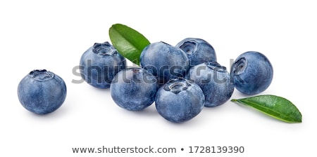 ストックフォト: Sweet Blueberries With Leaves