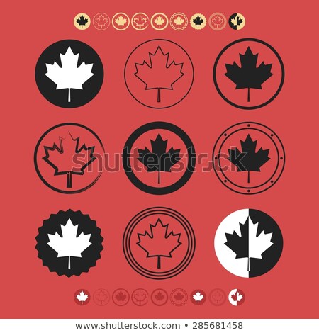 Stock foto: Maple Leaves Symbolic Isolated Icons Set Vector