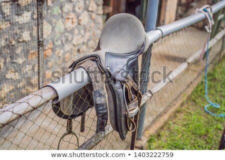 Stok fotoğraf: A Saddle Laying On The Rustic Fence In Warm Day