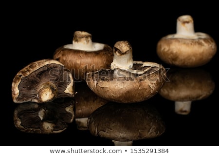 [[stock_photo]]: Italian Brown Mushrooms