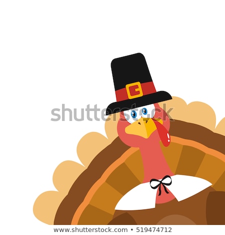 Stok fotoğraf: Pilgrim Turkey Bird Cartoon Mascot Character Peeking From A Corner