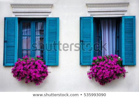 Stok fotoğraf: Windows With Flowers In Old House