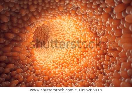 [[stock_photo]]: Healthy Small Intestine Villi