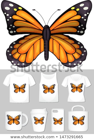 Zdjęcia stock: Graphic Of Butterfly On Different Product Templates
