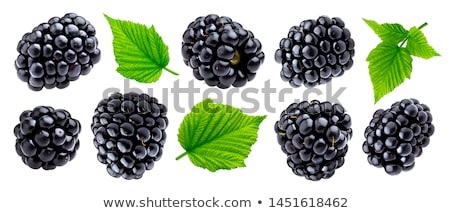 Сток-фото: Blackberries