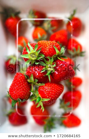 Foto stock: Fresh Strawberry From Farm