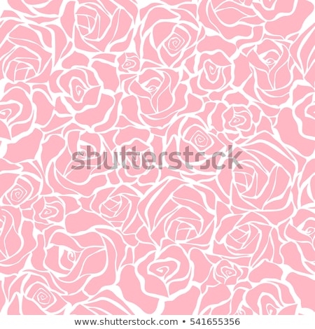 Stock fotó: Beautiful Seamless Rose Pattern Abstract