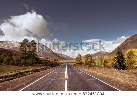 Stock photo: Straight Road Goes To Horizon On Mountains Backdrop