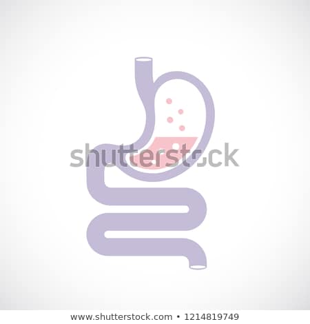 Foto stock: Microflora Digestive System Vector Illustration